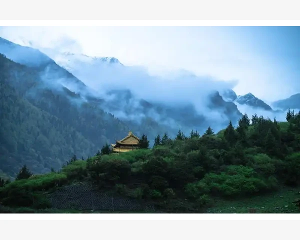 睡不着怎么办？困却头疼，吃什么药好？