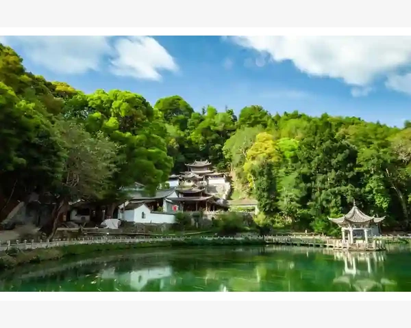 保肝养肾 健脾胃，美好生活从中医护肝养肾开始