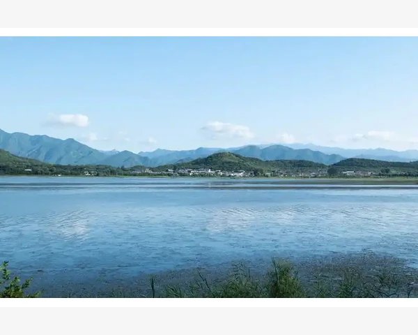 14岁胃疼吃什么好？